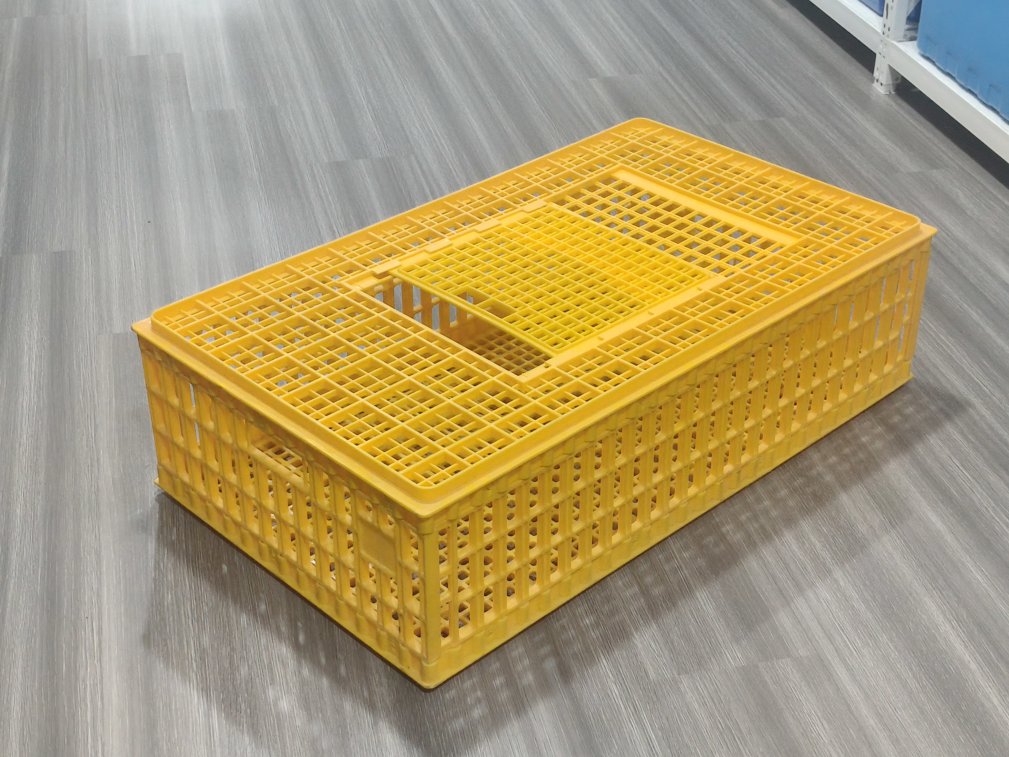 Plastic injection chicken coop mould