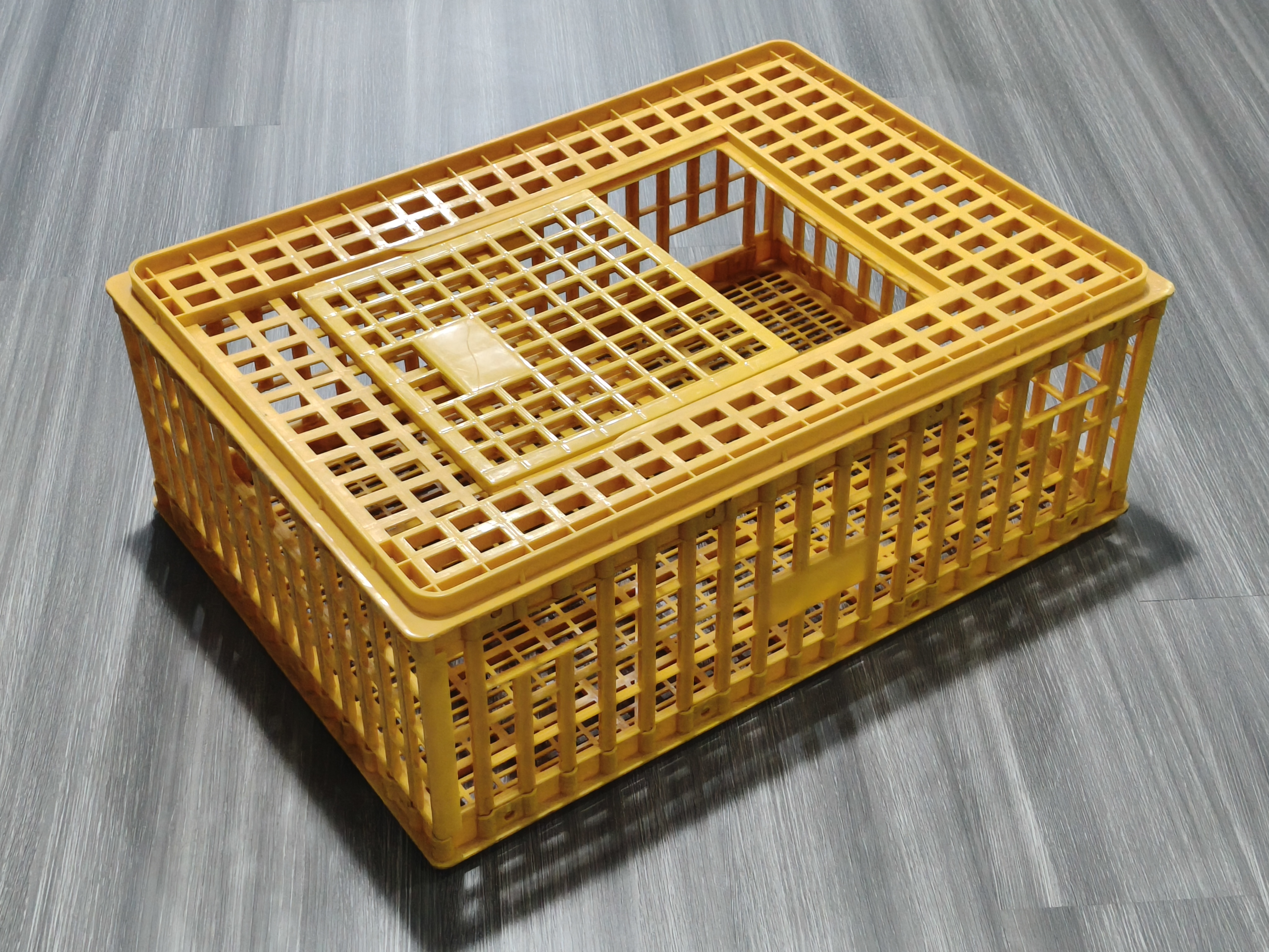 Plastic injection chicken coop mold