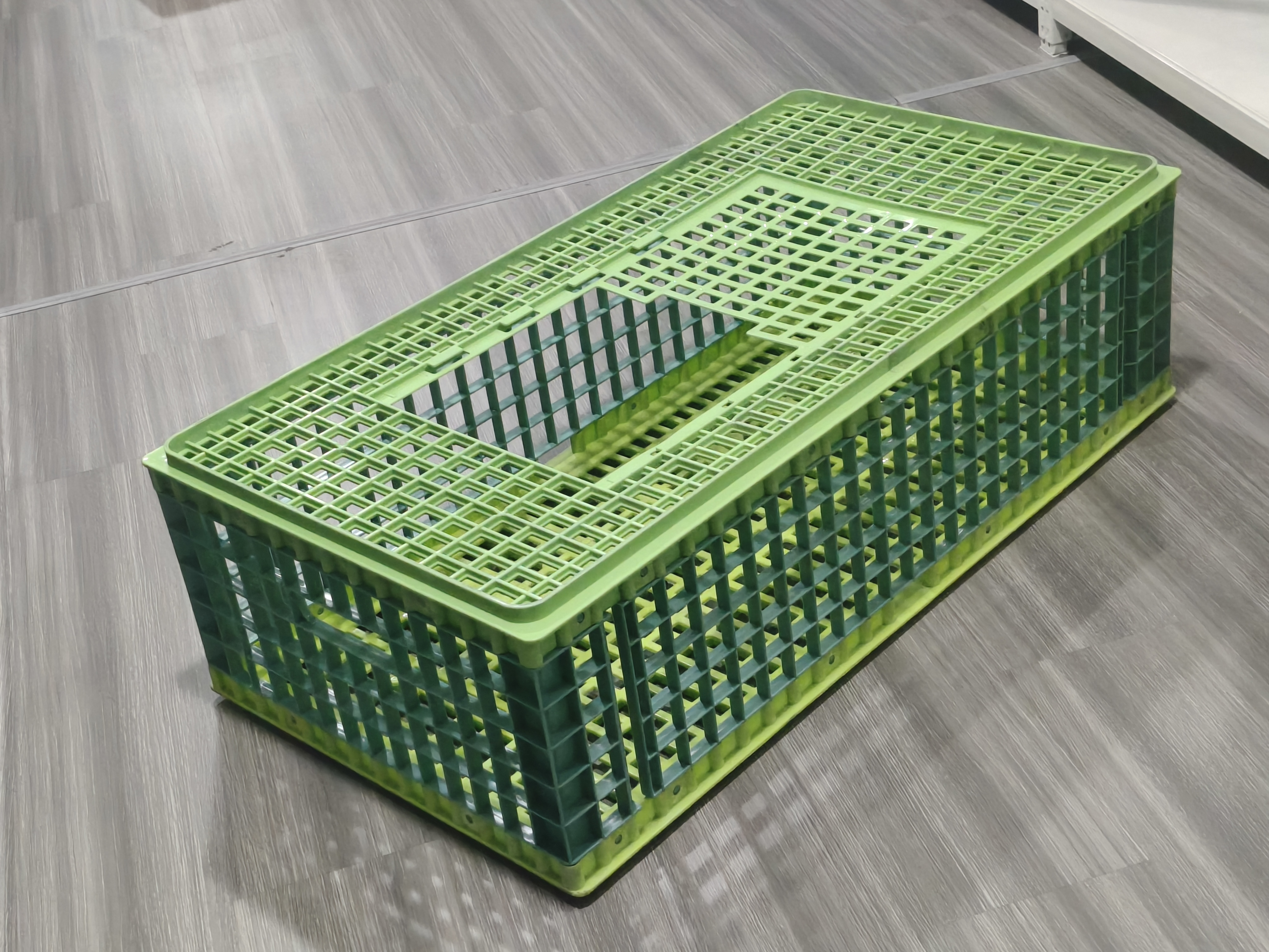 Plastic chicken coop mould