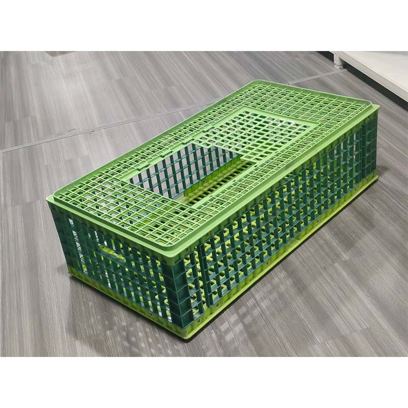 Plastic chicken coop mould
