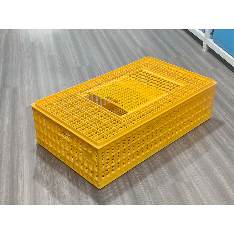 Plastic injection chicken coop mould
