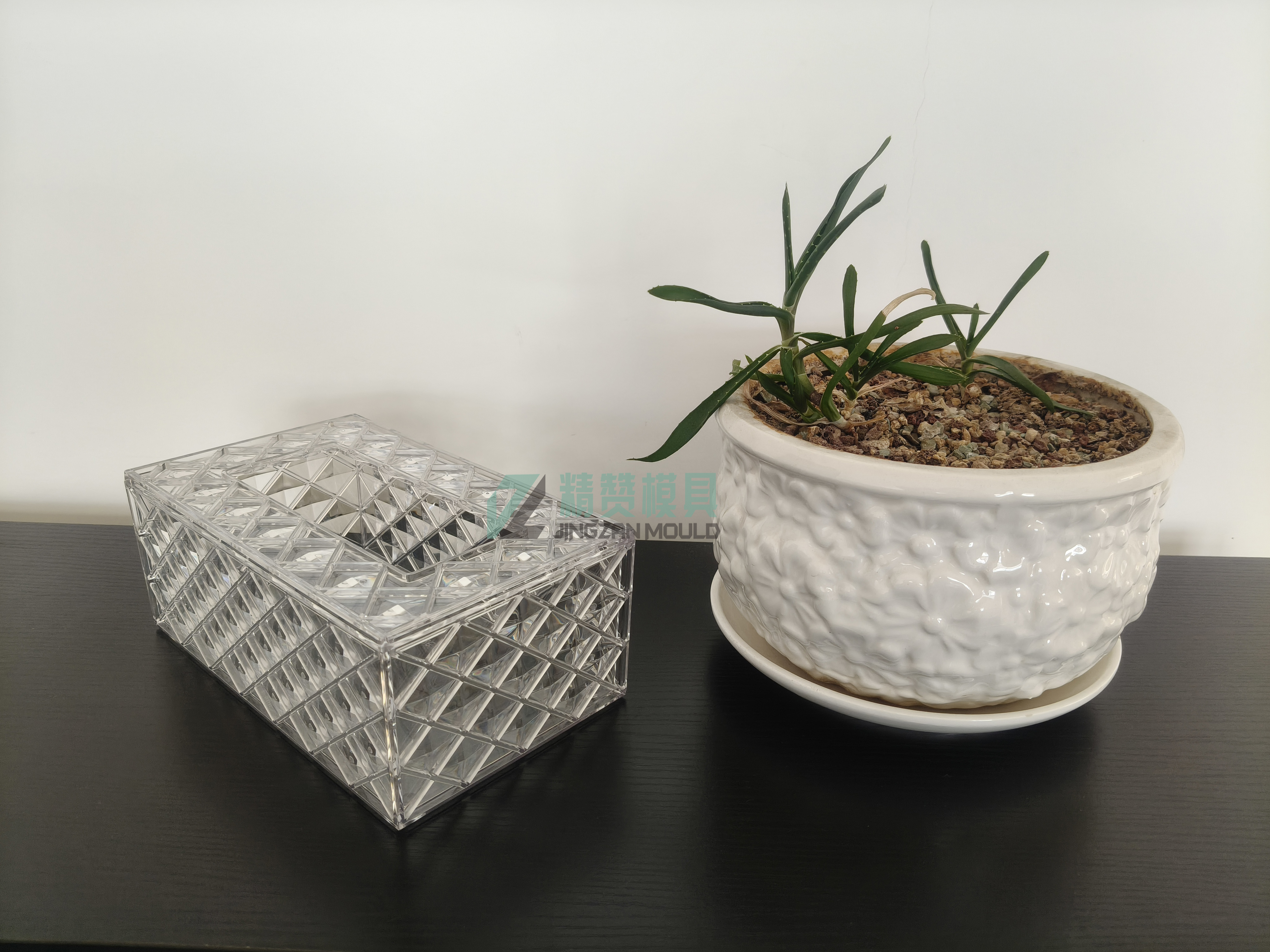 Plastic injection PET beautiful pattern  Tissue mould 